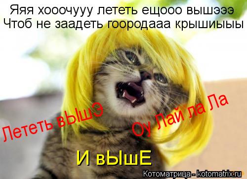 Котоматрица: Яяя хооочууу лететь ещооо вышэээ Чтоб не заадеть гоородааа крышиыыы И вЫшЕ Лететь вЫшЭ Оу Лай ла Ла