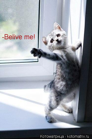 Котоматрица: -Belive me!