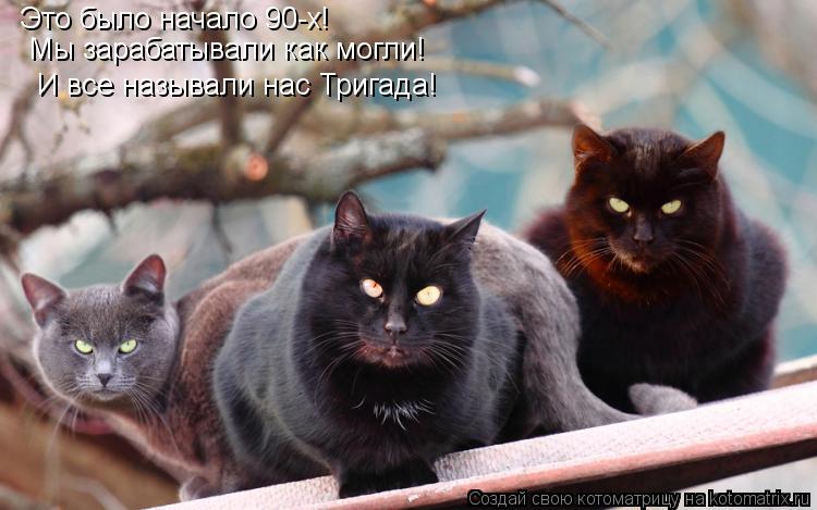 Котоматрица: Это было начало 90-х!  Мы зарабатывали как могли!  И все называли нас Тригада!
