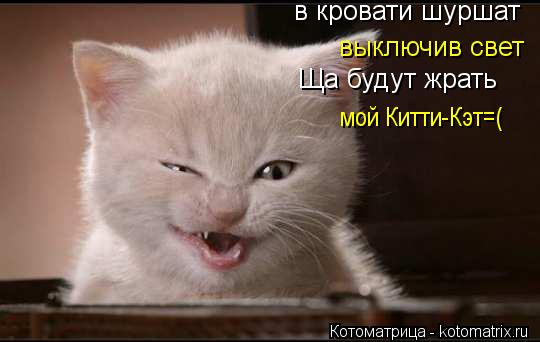 в кровати шуршат выключив свет Ща будут жрать мой Китти-Кэт=(... Котоматрица: в кровати шуршат выключив свет Ща будут жрать мой Китти-Кэт=(