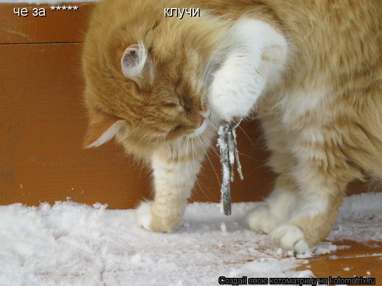 Котоматрица: че за *****                     клучи