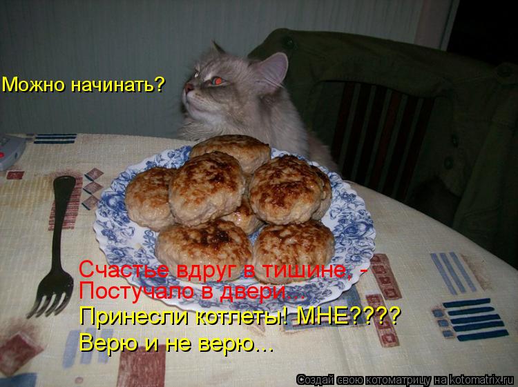 Котоматрица: Счастье вдруг в тишине, - Постучало в двери... Принесли котлеты! МНЕ???? Верю и не верю... Можно начинать?