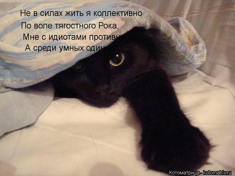 Не в силах жить я коллективно По воле тягостного Рока, Мне с идиотами противно А среди умных одиноко.... Котоматрица: Не в силах жить я коллективно По воле тягостного Рока, Мне с идиотами противно А среди умных одиноко.......
