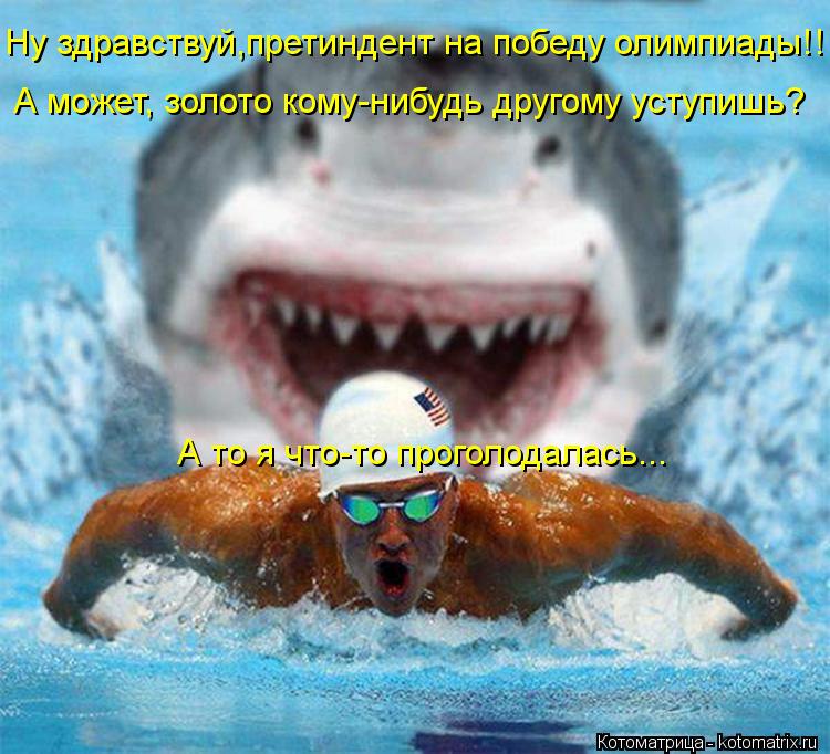 Ну здравствуй,претиндент на победу олимпиады!!! А может, золото кому-нибудь другому уступишь? А то я ... Котоматрица: Ну здравствуй,претиндент на победу олимпиады!!! А может, золото кому-нибудь другому уступишь? А то я что-то проголодалась...