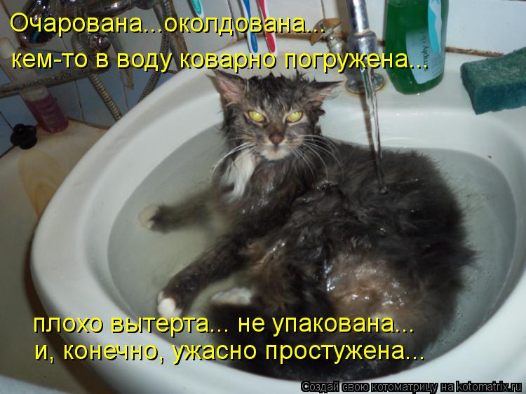 Очарована...околдована... кем-то в воду коварно погружена... и, конечно, ужасно простужена... плохо в... Котоматрица: Очарована...околдована... кем-то в воду коварно погружена... и, конечно, ужасно простужена... плохо вытерта... не упакована...