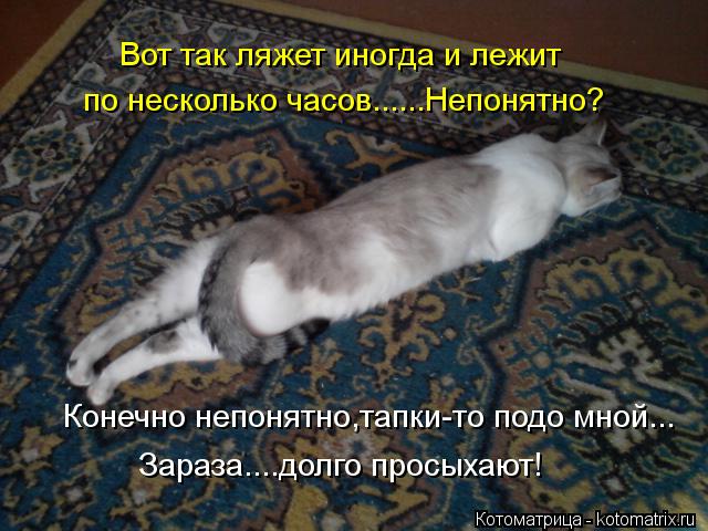 Вот так ляжет иногда и лежит по несколько часов......Непонятно? Конечно непонятно,тапки-то подо мной.... Котоматрица: Вот так ляжет иногда и лежит по несколько часов......Непонятно? Конечно непонятно,тапки-то подо мной... Зараза....долго просыхают!