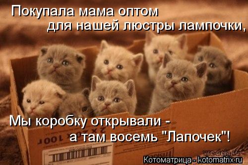 Покупала мама оптом для нашей люстры лампочки, Мы коробку открывали - а там восемь "Лапочек"!... Котоматрица: Покупала мама оптом для нашей люстры лампочки, Мы коробку открывали - а там восемь "Лапочек"!