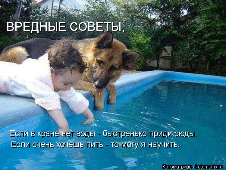 ВРЕДНЫЕ СОВЕТЫ, Если в кране нет воды - быстренько приди сюды. Если очень хочешь пить - то могу я нау... Котоматрица: ВРЕДНЫЕ СОВЕТЫ, Если в кране нет воды - быстренько приди сюды. Если очень хочешь пить - то могу я научить.