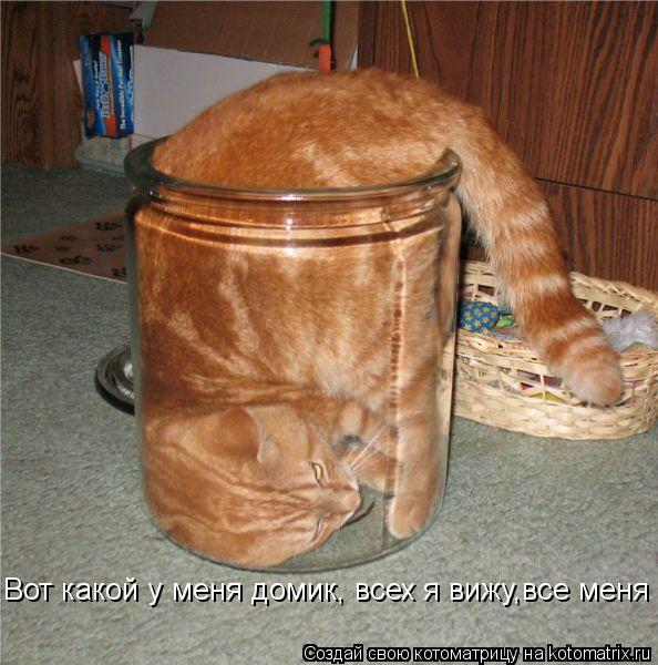 Вот какой у меня домик, всех я вижу,все меня... Котоматрица: Вот какой у меня домик, всех я вижу,все меня
