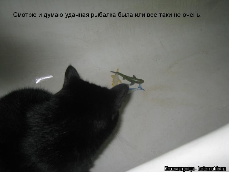 Смотрю и думаю удачная рыбалка была или все таки не очень.... Котоматрица: Смотрю и думаю удачная рыбалка была или все таки не очень.