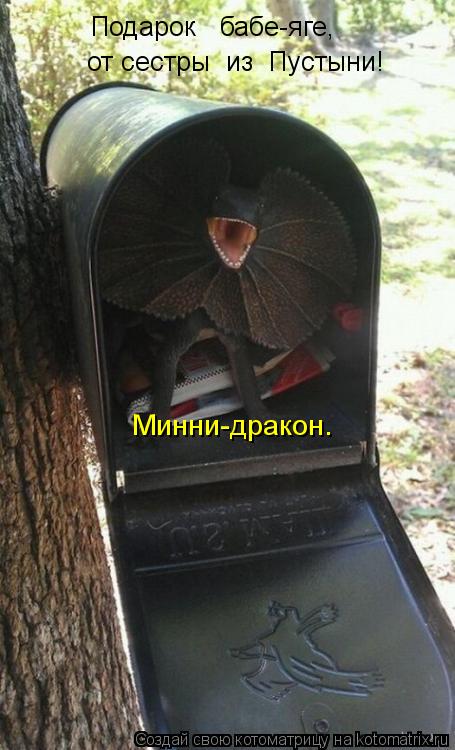 Подарок бабе-яге, от сестры из Пустыни! Минни-дракон.... Котоматрица: Подарок бабе-яге, от сестры из Пустыни! Минни-дракон.