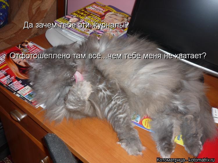 Котоматрица: Да зачем тебе эти журналы? Отфотошеплено там всё...чем тебе меня не хватает?