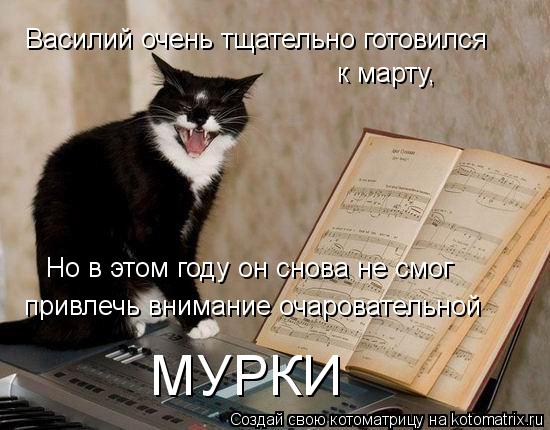 Котоматрица: Василий очень тщательно готовился к марту, Но в этом году он снова не смог привлечь внимание очаровательной МУРКИ