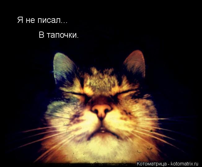 Котоматрица: Я не писал... В тапочки.