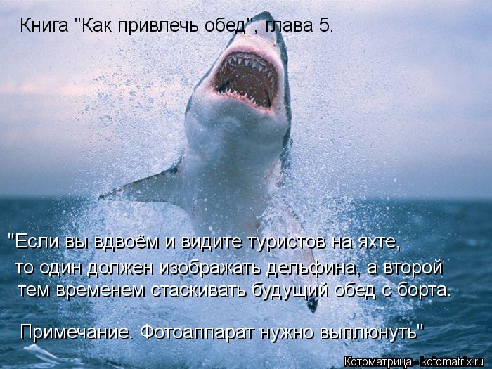 Котоматрица: Книга "Как привлечь обед", глава 5. "Если вы вдвоём и видите туристов на яхте, то один должен изображать дельфина, а второй тем временем стаски
