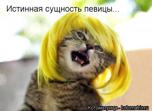 Котоматрица: Истинная сущность певицы...