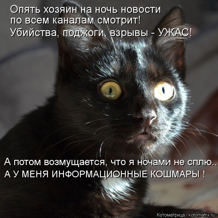 Опять хозяин на ночь новости по всем каналам смотрит! Убийства, поджоги, взрывы - УЖАС! А потом возм... Котоматрица: Опять хозяин на ночь новости по всем каналам смотрит! Убийства, поджоги, взрывы - УЖАС! А потом возмущается, что я ночами не сплю... А У МЕНЯ ИН