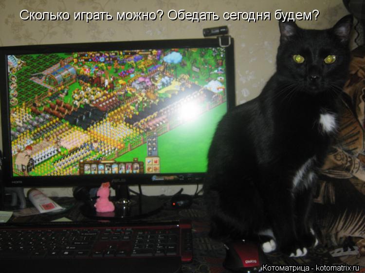 Котоматрица: Сколько играть можно? Обедать сегодня будем?