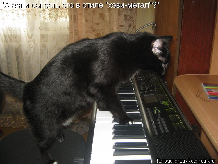 Котоматрица: "А если сыграть это в стиле "хэви-метал"?"