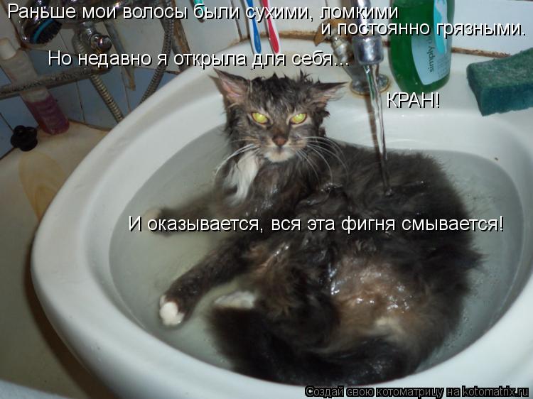 Котоматрица: Раньше мои волосы были сухими, ломкими и постоянно грязными.  Но недавно я открыла для себя…  КРАН! И оказывается, вся эта фигня смывается!