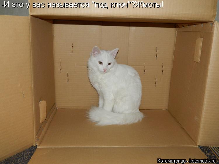 Котоматрица: -И это у вас называется "под ключ"?Жмоты!