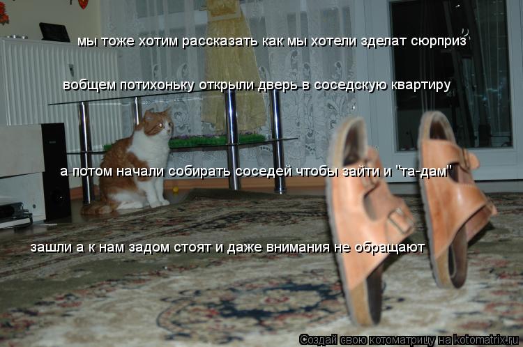 мы тоже хотим рассказать как мы хотели зделат сюрприз вобщем потихоньку открыли дверь в соседскую ква... Котоматрица: мы тоже хотим рассказать как мы хотели зделат сюрприз вобщем потихоньку открыли дверь в соседскую квартиру а потом начали собирать соседе