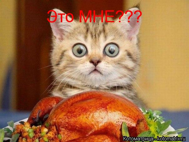 Это МНЕ???... Котоматрица: Это МНЕ???