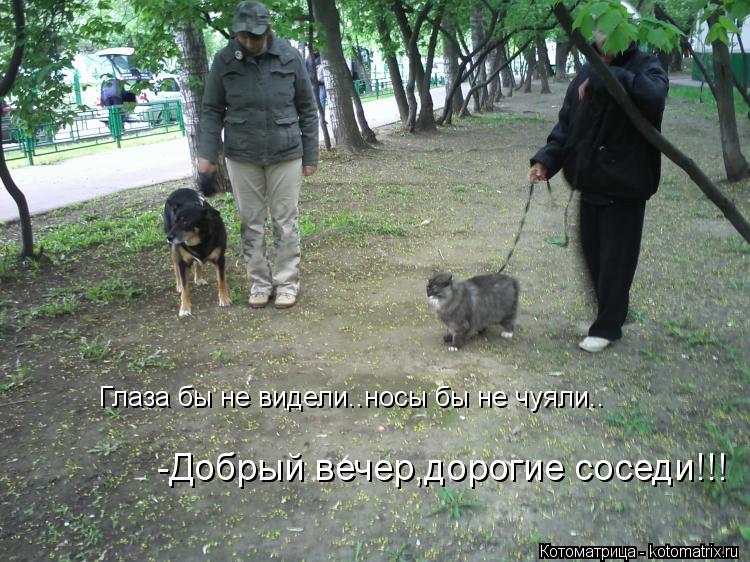 Глаза бы не видели..носы бы не чуяли.. -Добрый вечер,дорогие соседи!!!... Котоматрица: Глаза бы не видели..носы бы не чуяли.. -Добрый вечер,дорогие соседи!!!