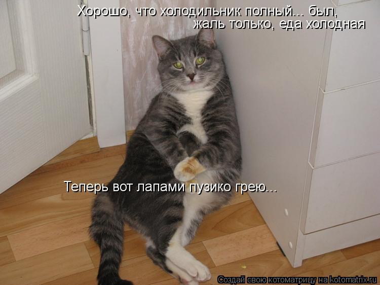 Котоматрица: Хорошо, что холодильник полный... был, жаль только, еда холодная Теперь вот лапами пузико грею...