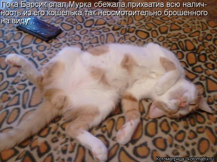 Котоматрица: Пока Барсик спал,Мурка сбежала,прихватив всю налич- ность из его кошелька,так неосмотрительно брошенного  на виду...