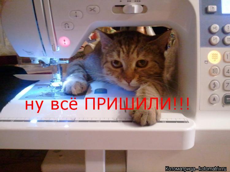 Котоматрица: ну всё ПРИШИЛИ!!!