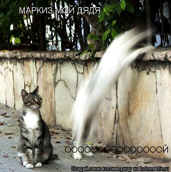 МАРКИЗ МОЙ ДЯДЯ ОООООООООООООООЙ... Котоматрица: МАРКИЗ МОЙ ДЯДЯ ОООООООООООООООЙ