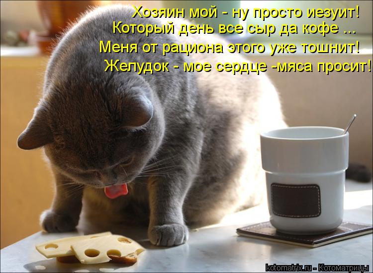 Котоматрица: Хозяин мой - ну просто иезуит! Который день все сыр да кофе ... Меня от рациона этого уже тошнит! Желудок - мое сердце -мяса просит!