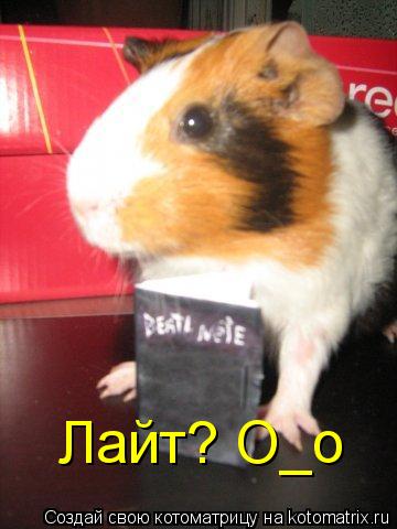 Лайт? О_о... Котоматрица: Лайт? О_о