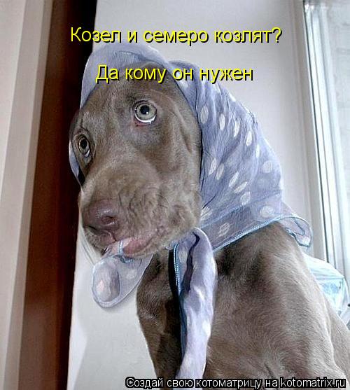 Козел и семеро козлят? Да кому он нужен... Котоматрица: Козел и семеро козлят? Да кому он нужен