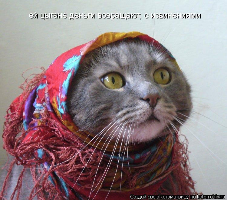 ей цыгане деньги вовращают, с извинениями... Котоматрица: ей цыгане деньги вовращают, с извинениями