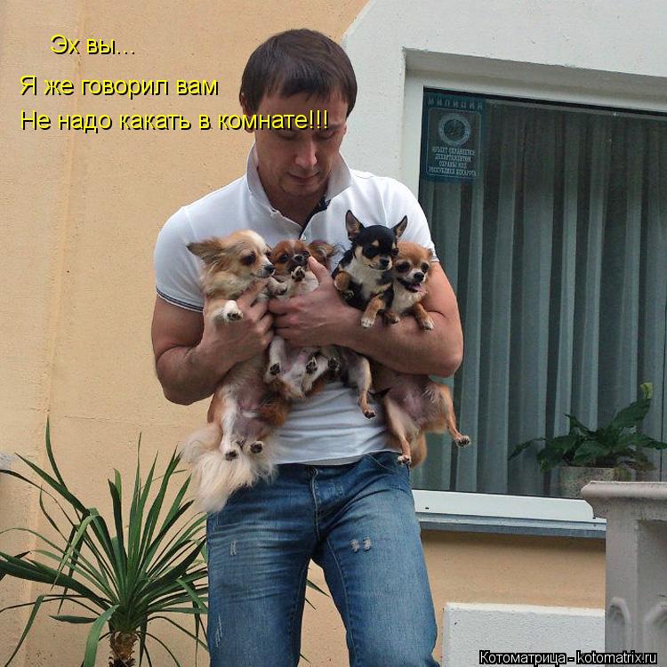 Эх вы... Я же говорил вам Не надо какать в комнате!!!... Котоматрица: Эх вы... Я же говорил вам Не надо какать в комнате!!!