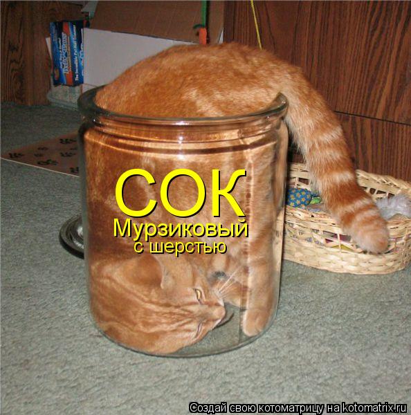 Котоматрица: СОК Мурзиковый с шерстью
