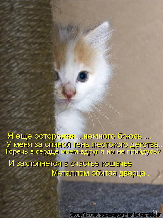 Я еще осторожен...немного боюсь ... У меня за спиной тень жестокого детства... И захлопнется в счасть... Котоматрица: Я еще осторожен...немного боюсь ... У меня за спиной тень жестокого детства... И захлопнется в счастье кошачье Металлом обитая дверца.... Горечь