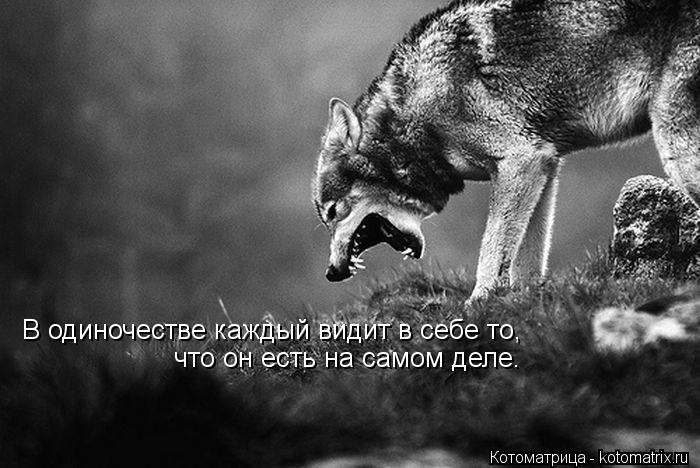 Котоматрица: В одиночестве каждый видит в себе то, что он есть на самом деле.