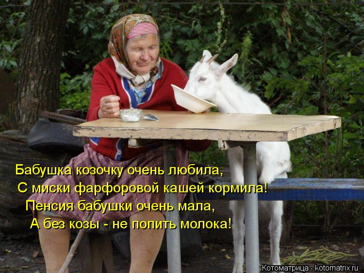 Котоматрица: Бабушка козочку очень любила, С миски фарфоровой кашей кормила! Пенсия бабушки очень мала, А без козы - не попить молока!