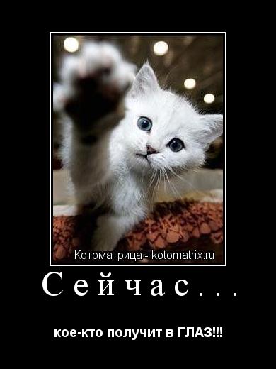 Котоматрица: Сейчас... кое-кто получит в ГЛАЗ!!!