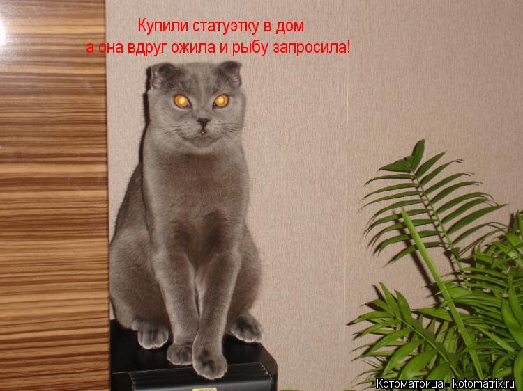 Котоматрица: Купили статуэтку в дом а она вдруг ожила и рыбу запросила!