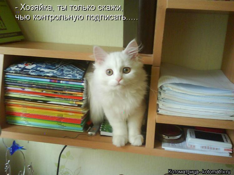Котоматрица: - Хозяйка, ты только скажи, чью контрольную подписать.....
