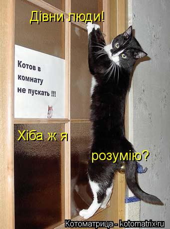 Котоматрица: Дiвни люди!  Хiба ж я розумiю?