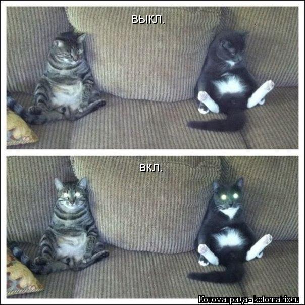 Котоматрица: выкл. вкл.