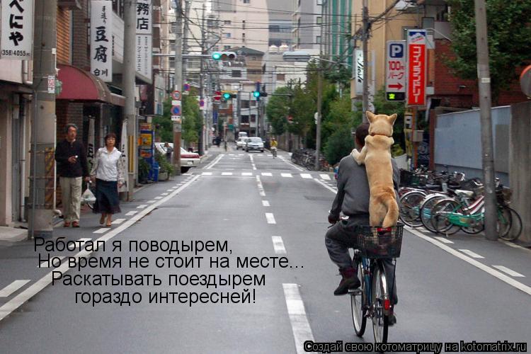 Котоматрица: Работал я поводырем, Но время не стоит на месте... Раскатывать поездырем гораздо интересней!