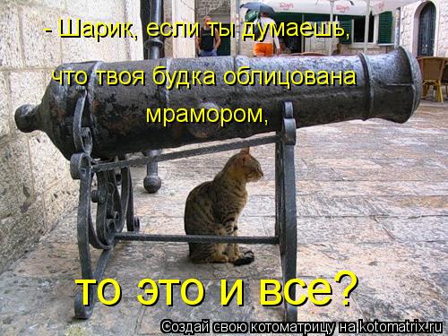 Котоматрица: - Шарик, если ты думаешь, что твоя будка облицована мрамором, то это и все?