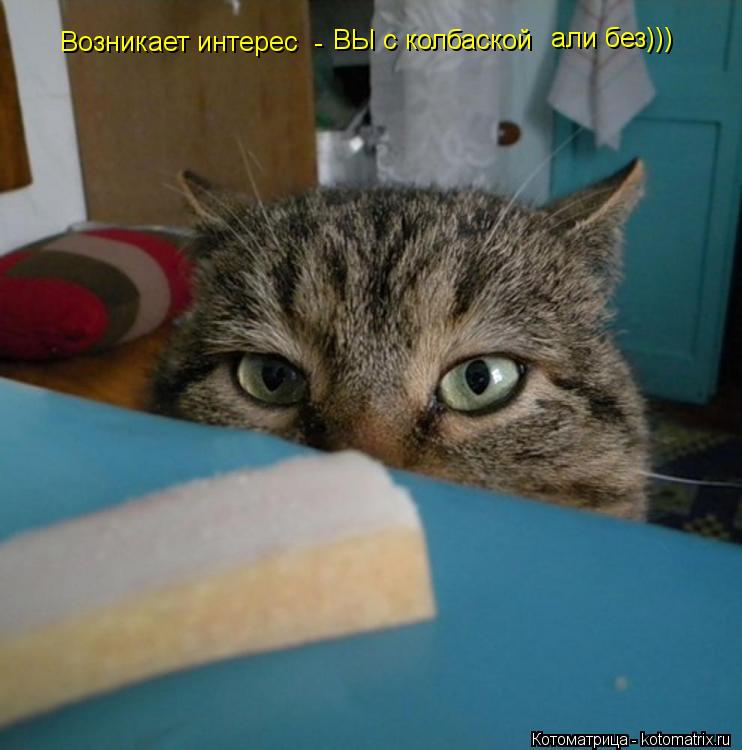 Котоматрица: Возникает интерес - ВЫ с колбаской али без)))