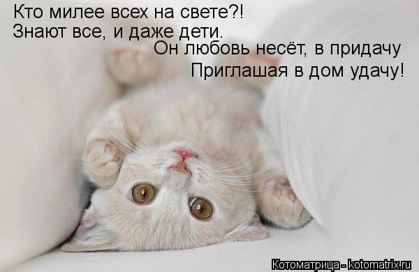 Котоматрица: Кто милее всех на свете?! Знают все, и даже дети. Приглашая в дом удачу! Он любовь несёт, в придачу